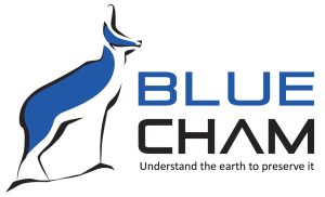Bluecham