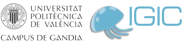 Universidad Politécnica de Valencia: IGIC